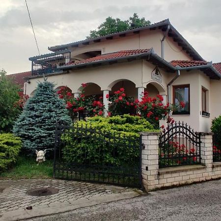 Aurora Ház Apartment Zalakaros Ngoại thất bức ảnh